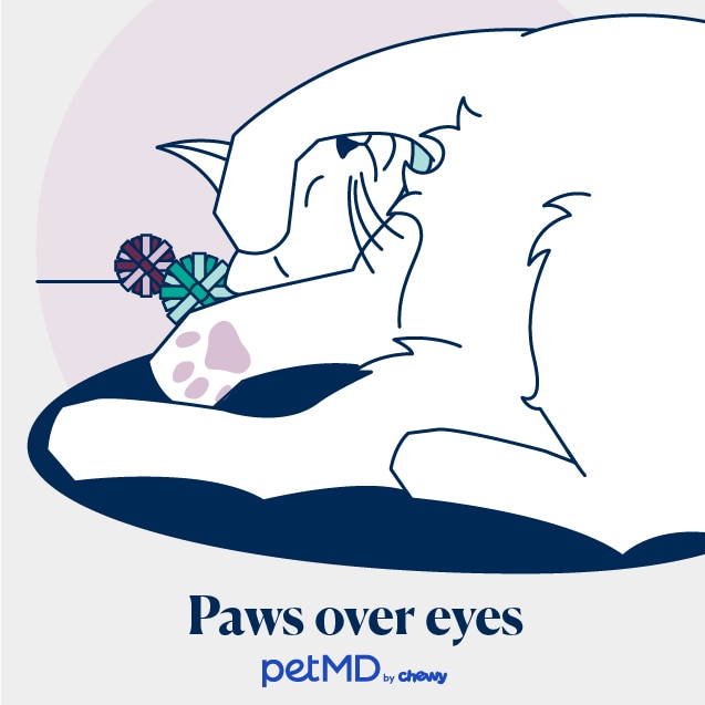 illustration of a cat sleeping with a paw over their eyes