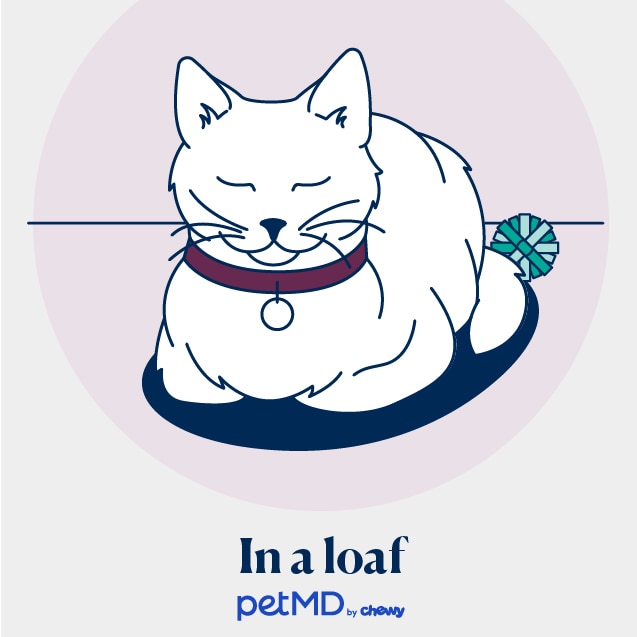 illustration of a cat sleeping in a loaf