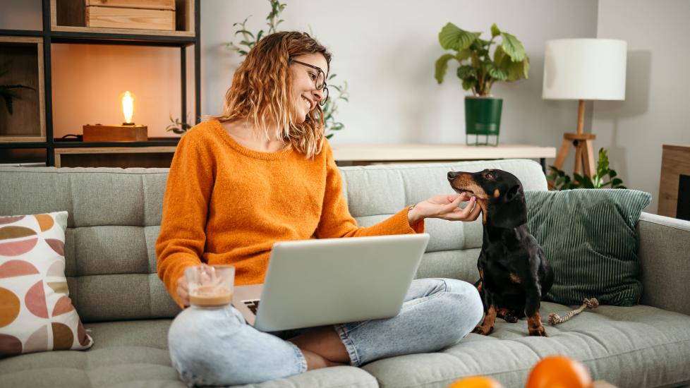 help with vet bills; a dog sits with his pet parent as she pays bills.
